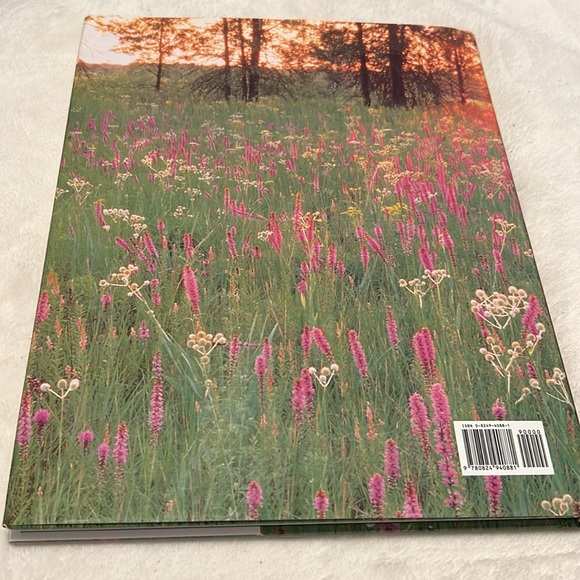 📚BOOK SALE 5 for $20📚 A Treasury of Best Loved Poems by Patricia A. Pingey 1997 - Picture 11 of 12